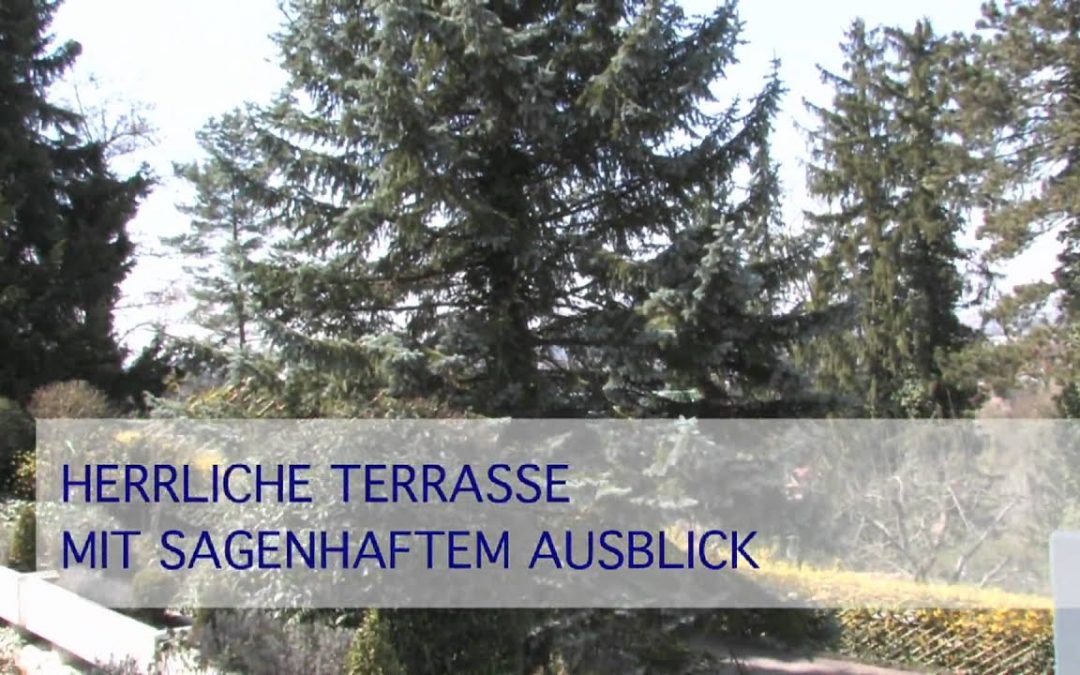 Standbild. aus "Herrliches Anwesen", Immobilien-Video