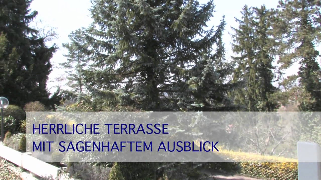 Standbild. aus "Herrliches Anwesen", Immobilien-Video