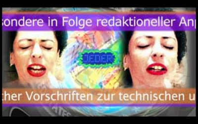 Wer nichts zu verbergen hat, hat nichts zu befürchten – Song und Video über Überwachung und Identität